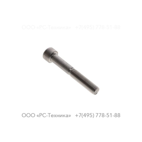 4810069650 SCREW