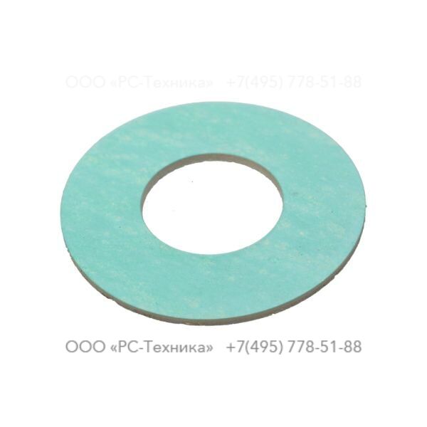 4810005595 FLANGE GASKET V 80-2R 28X60X2