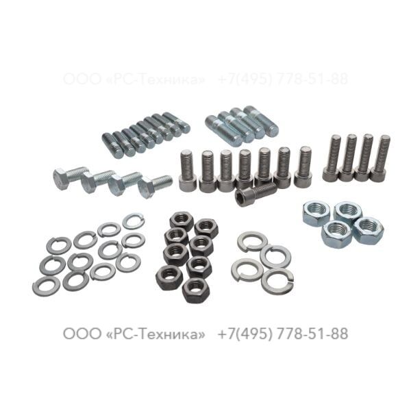 4810076977 SET OF SCREWS