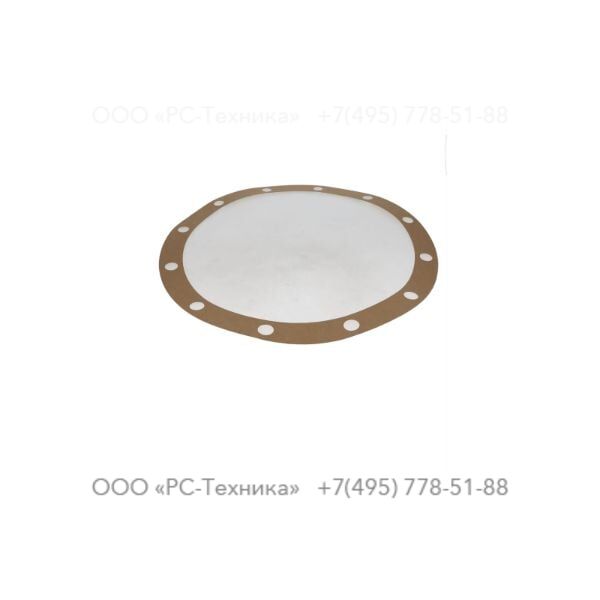 4810005556 GASKET CASING J300 401X479X0,5