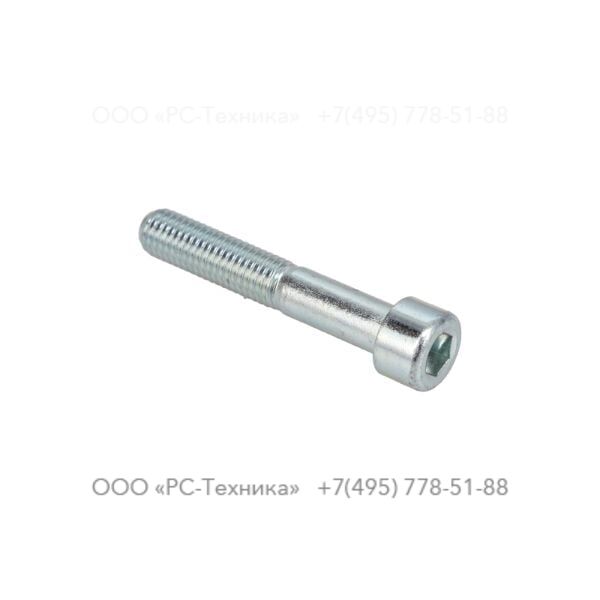 4810001888 SCREW