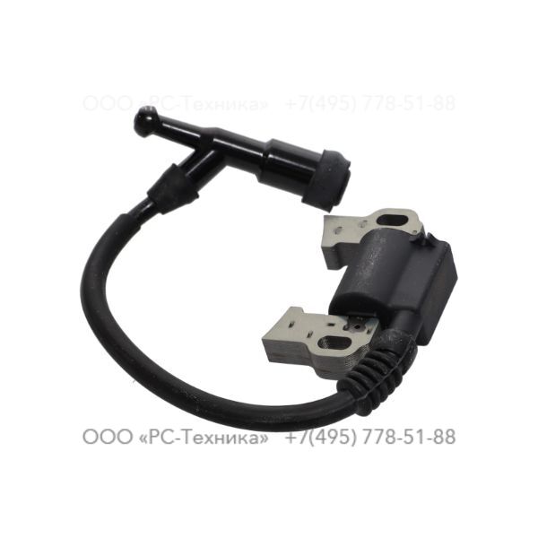 4810066493 MODULE SPARK PLUG ASSY