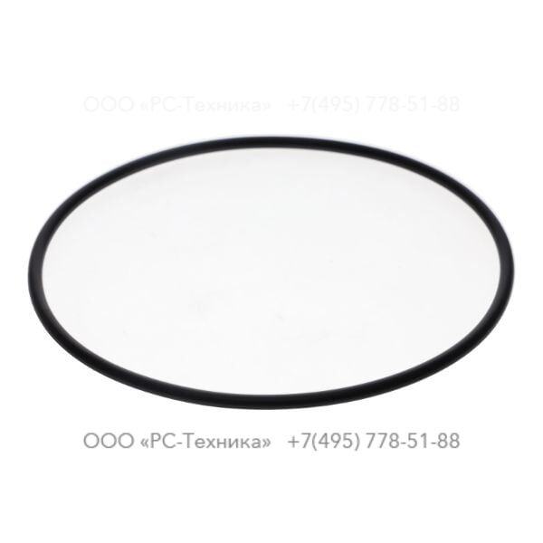 0663210037 O-ring for seal insert