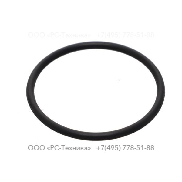 2205431427 O-RING FLUORIDE