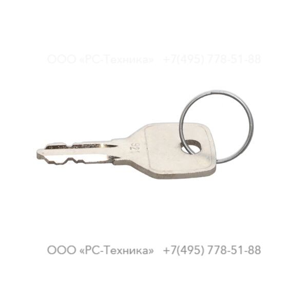 2914989500 FUEL CAP KEY