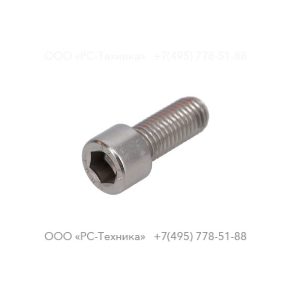 4810001914 SCREW