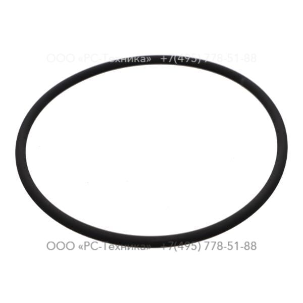 3081710202 O-RING