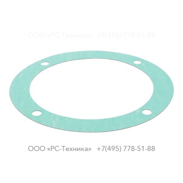 4810025733 GASKET