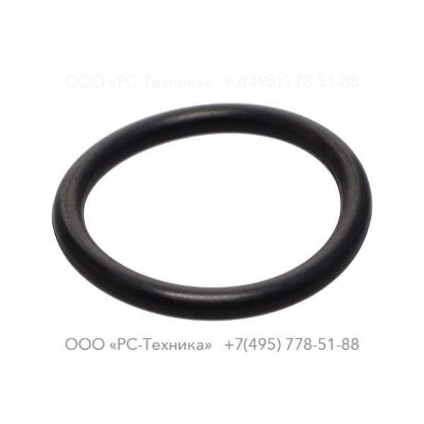 0663925300 O-RING