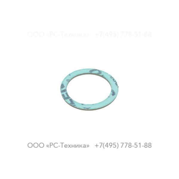 4810005660 PLUG GASKET