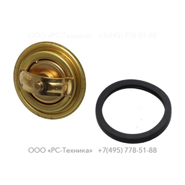 4810060672 THERMOSTATIC VALVE ASSEMBLY