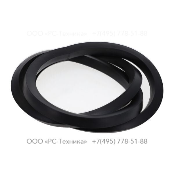 3081602784 SEAL RING