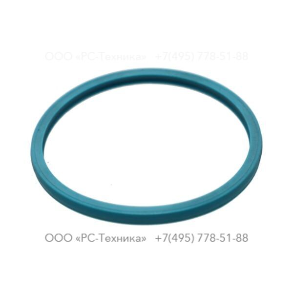 0663990026 SEAL RING
