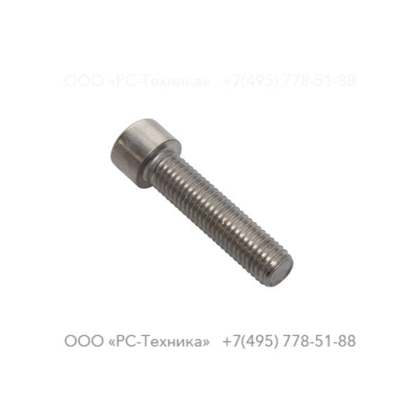 4810001916 SCREW