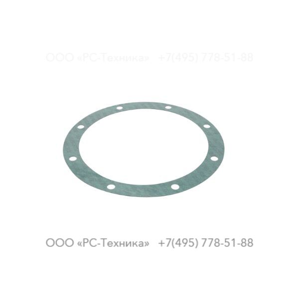 4810005576 GASKET