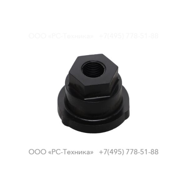 1613938100 NUT WSD TYPE2