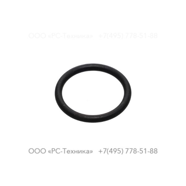 4810060216 O-RING