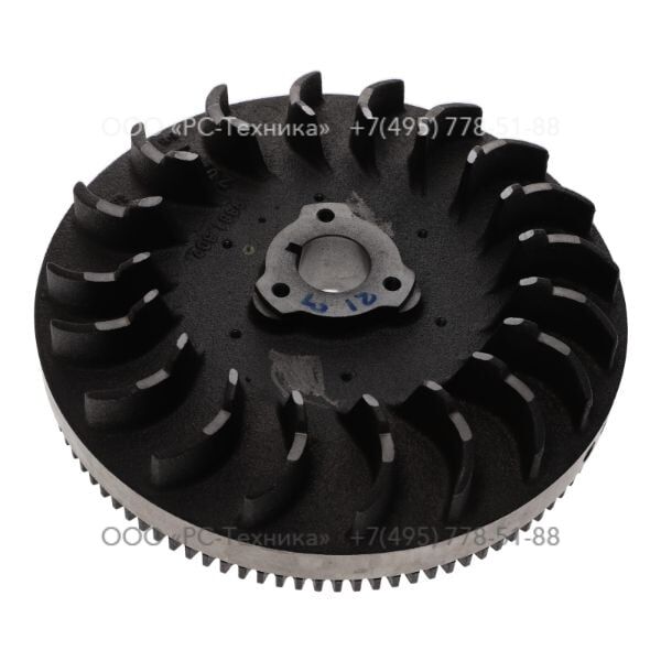 4810077485 FLYWHEEL ASSY