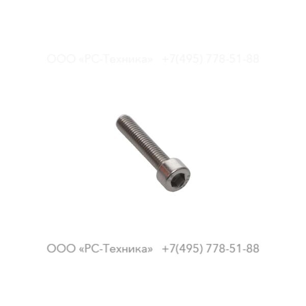 4810001919 SCREW