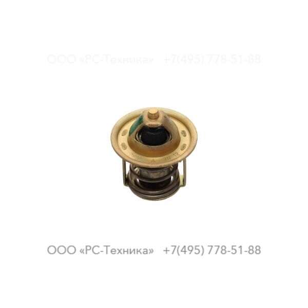 2913318900 VALVE THERM.