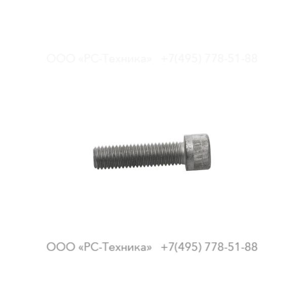 0211196534 SCREW