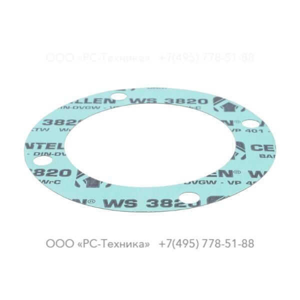 4810005618 GASKET