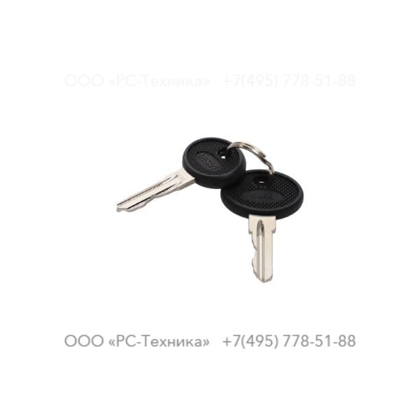 4810070584 CANOPY REPLACEMENT KEY (2 KEYS)