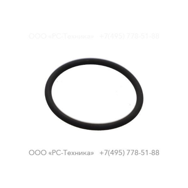 4810073149 O RING
