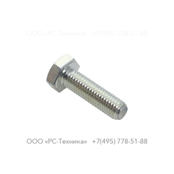 4810001950 SCREW