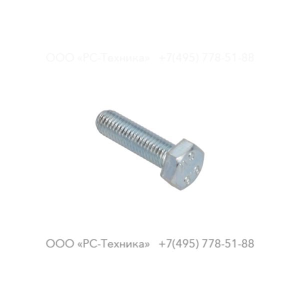 4810001939 SCREW