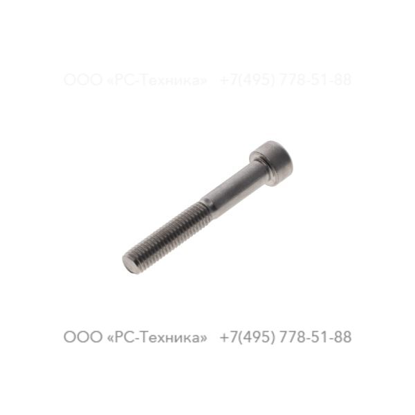 4810069650 SCREW