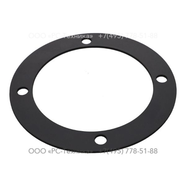 4810069251 GASKET