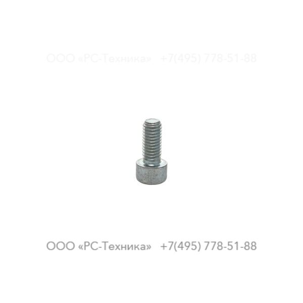 4810001894 SCREW