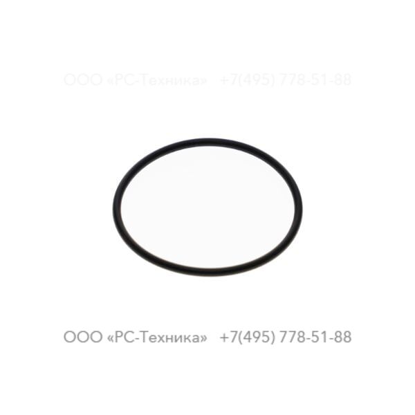 0663613100 O-RING