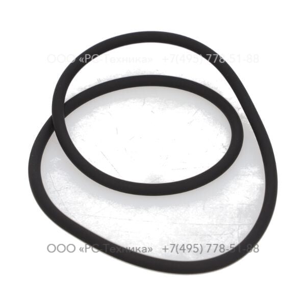 4810076769 O-RING