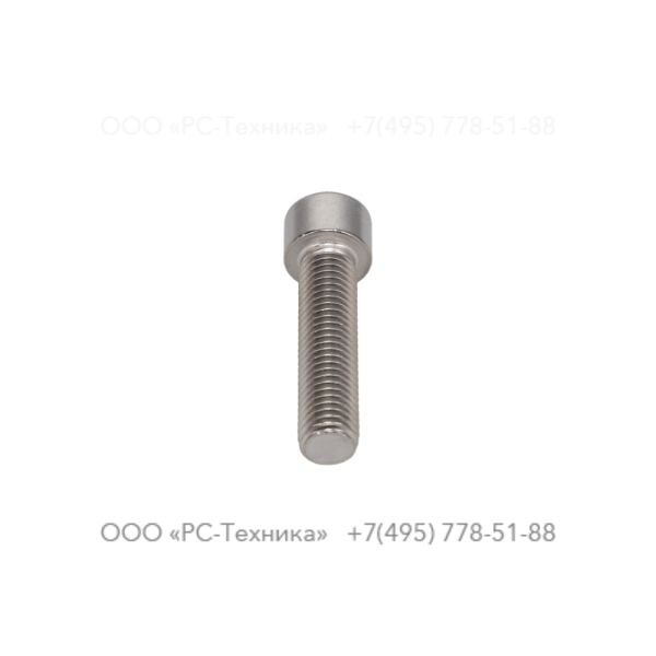 4810069457 SCREW