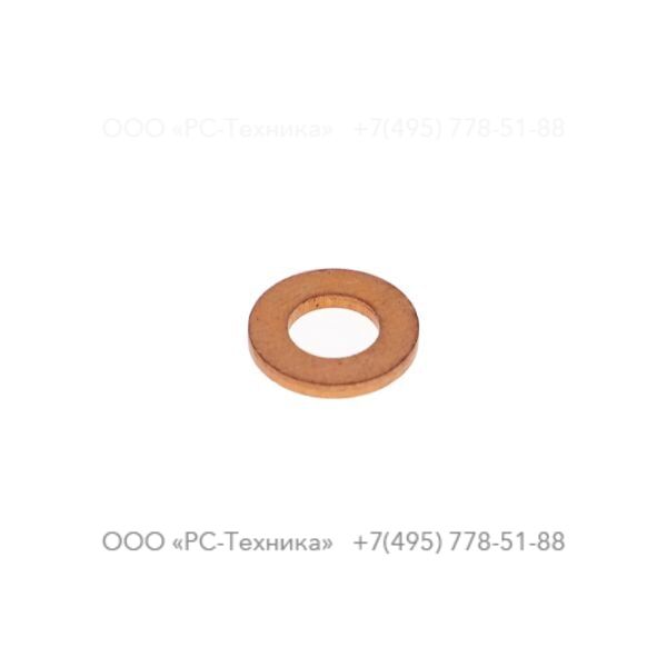 4810019517 RETAINING WASHER