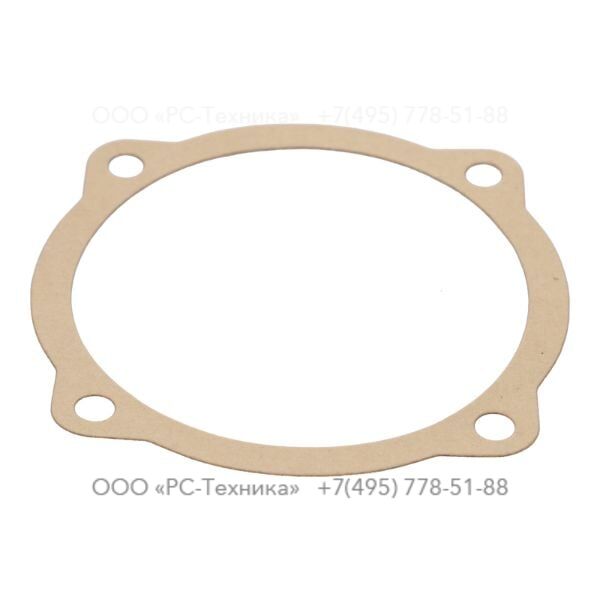4810005541 PAPER GASKET