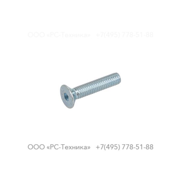 4810054001 Screw