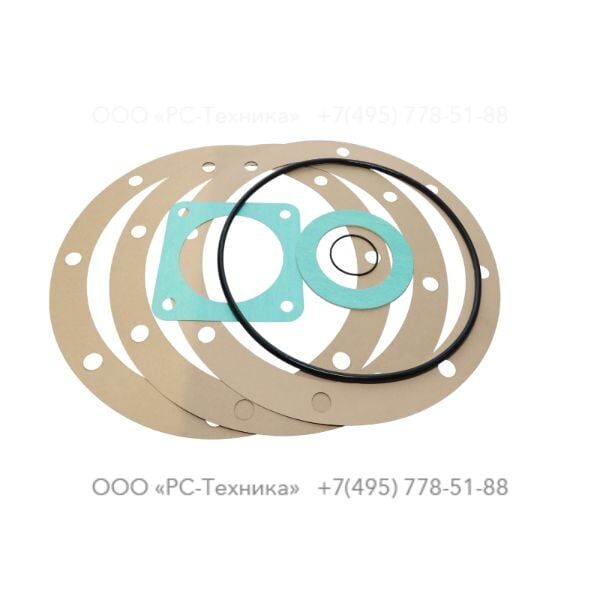 4810068832 SET OF GASKET - PUMP, PAC H43