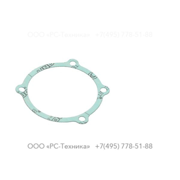 1202869100 GASKET