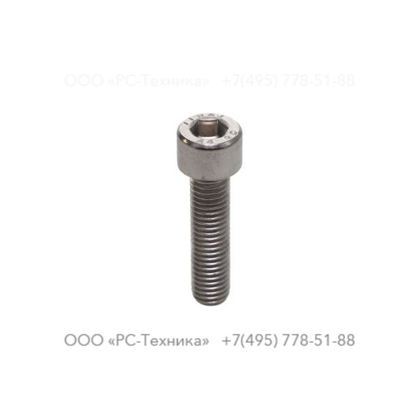 4810053419 SCREW