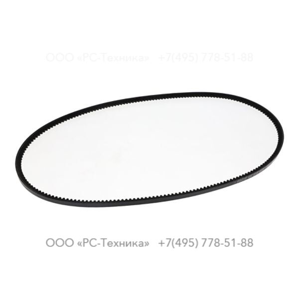 2913168800 NARROW V-BELT