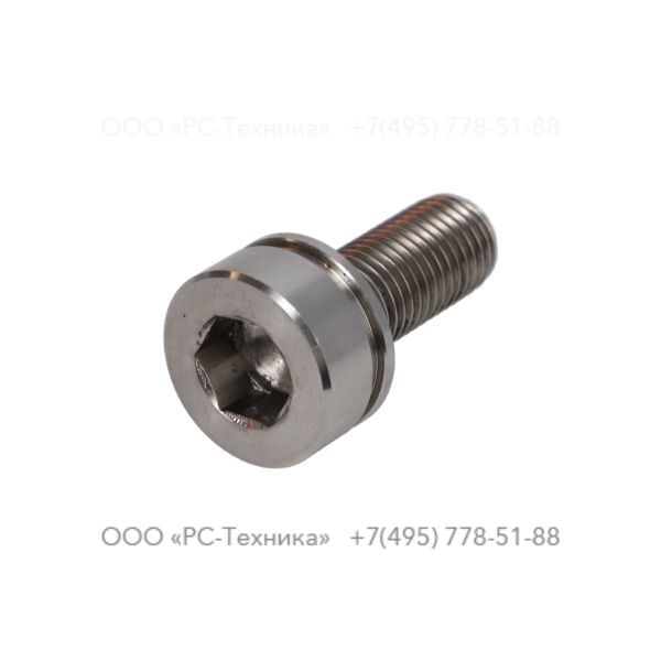 4810074789 SCREW