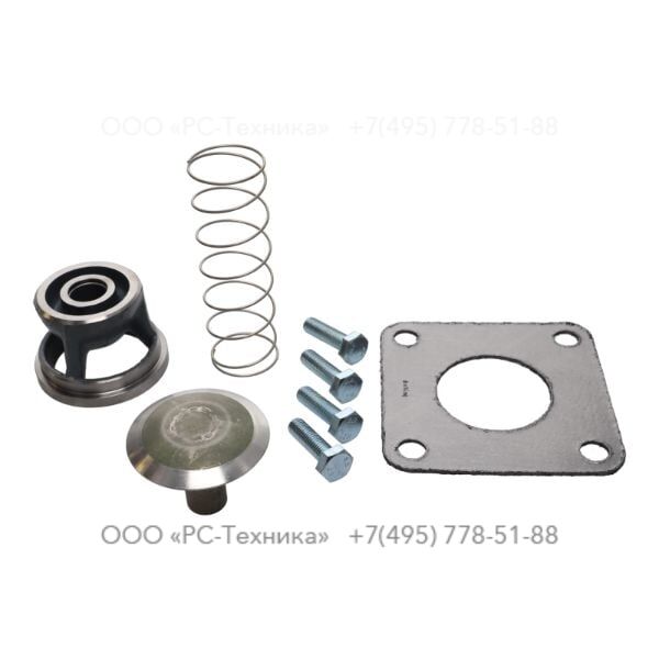 2911010400 PNS CHECK VALVE SERVICE KIT