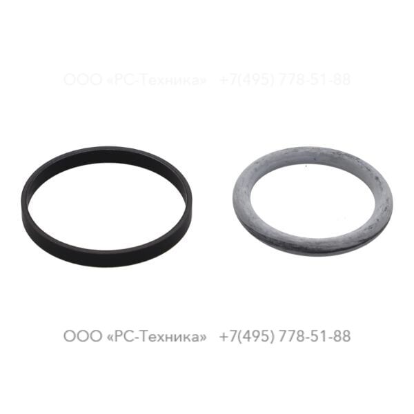 0665070118 PISTON SEAL