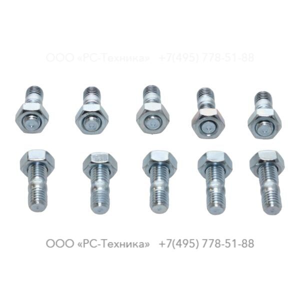 4810014042 SET OF SCREWS - PUMP