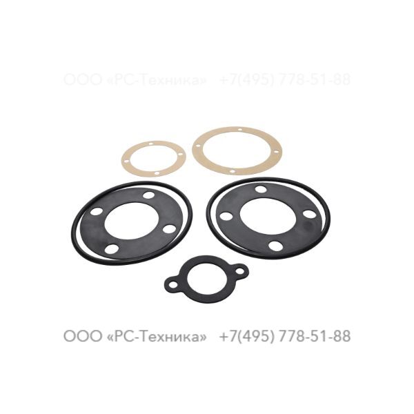 4810024993 GASKET SETS ST-R2 G
