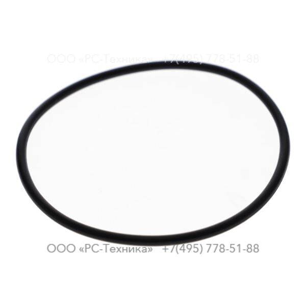 0663613901 O-ring