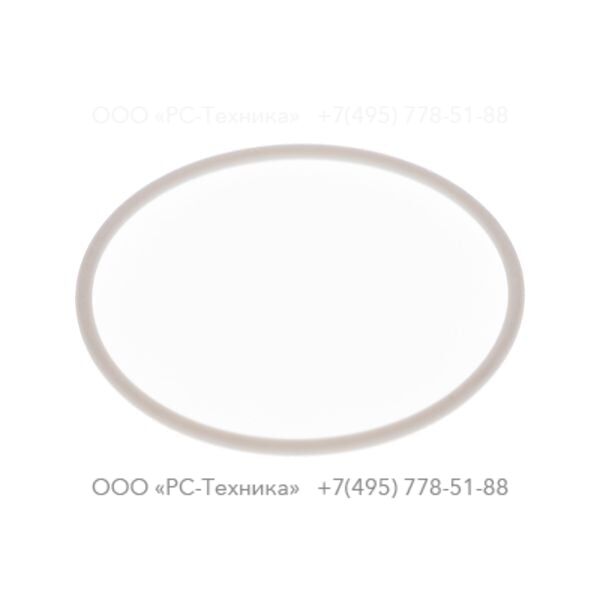 1607856904 O-RING 2-031 PTFE